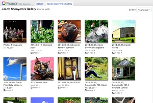 Google+